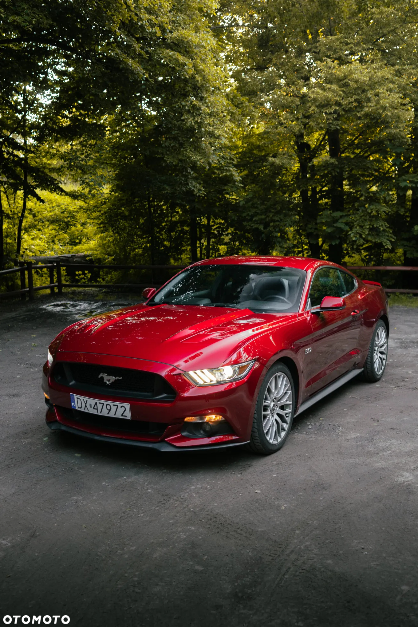 Ford Mustang 5.0 V8 GT - 23