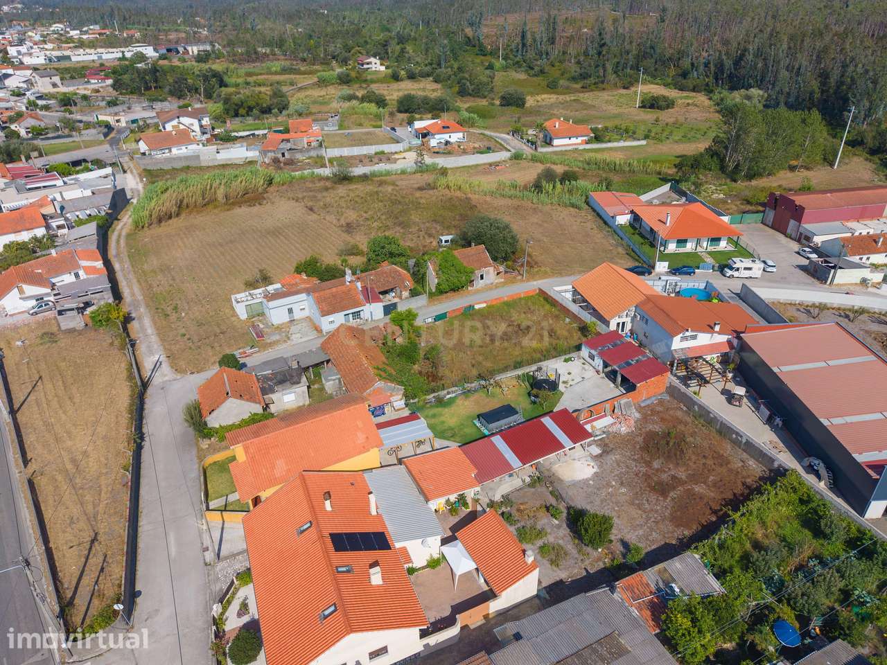 Terreno Rústico na Escoura — Marinha Grande - Grande imagem: 5/16