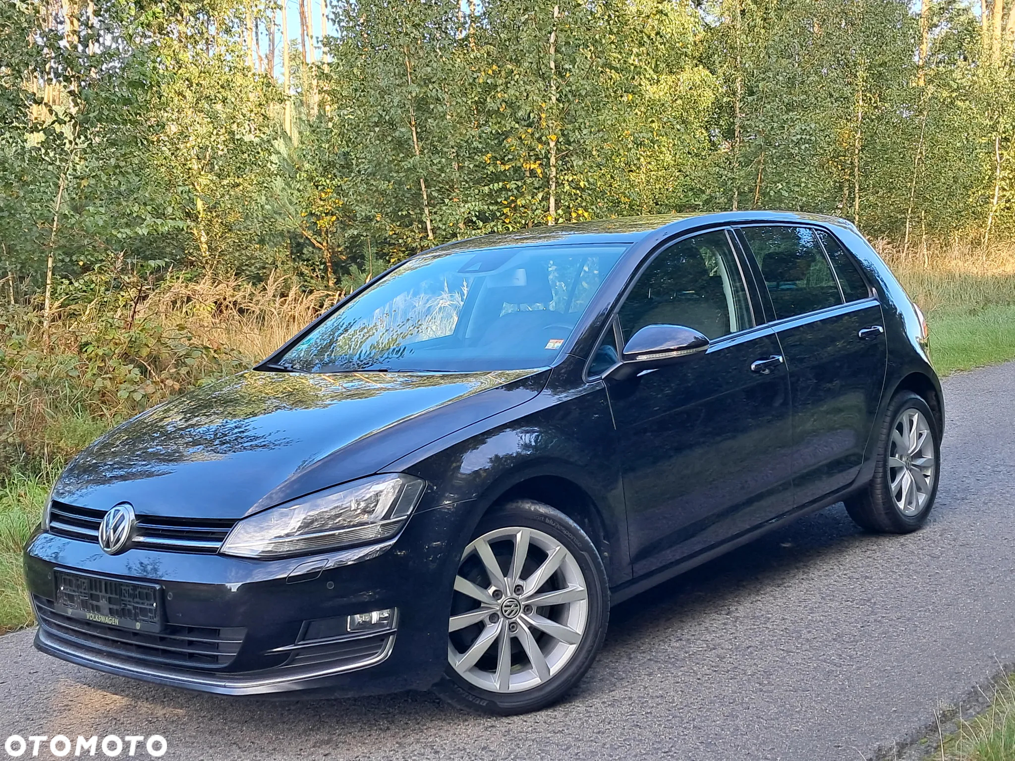 Volkswagen Golf VII 1.4 TSI BMT Comfortline - 17