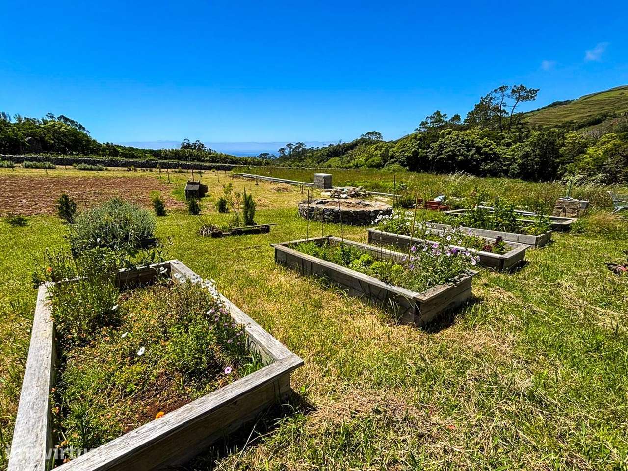 Terreno Rústico de 4850m2 - Santo Espírito, Vila do Porto - Grande imagem: 4/17