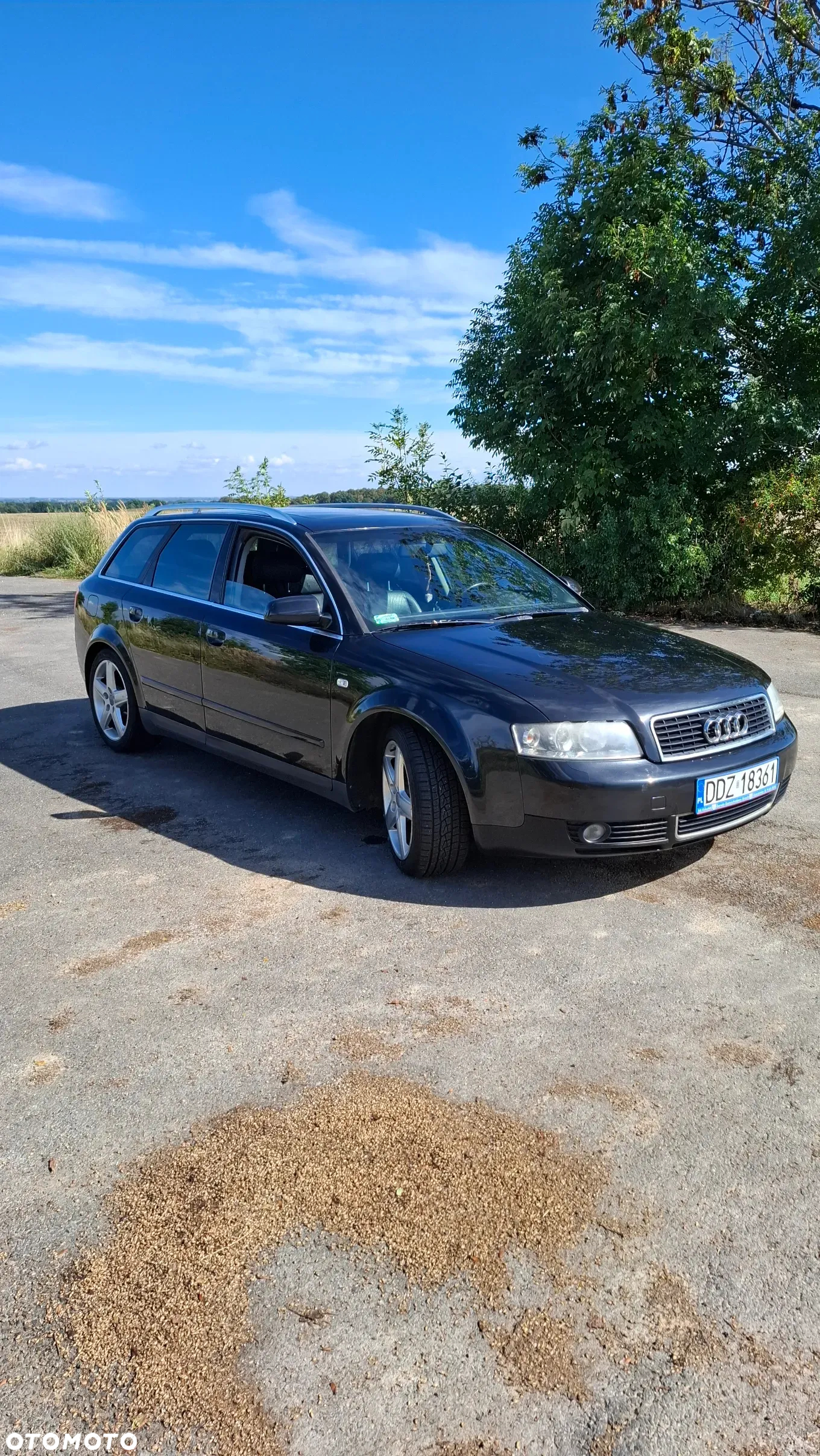 Audi A4 - 8