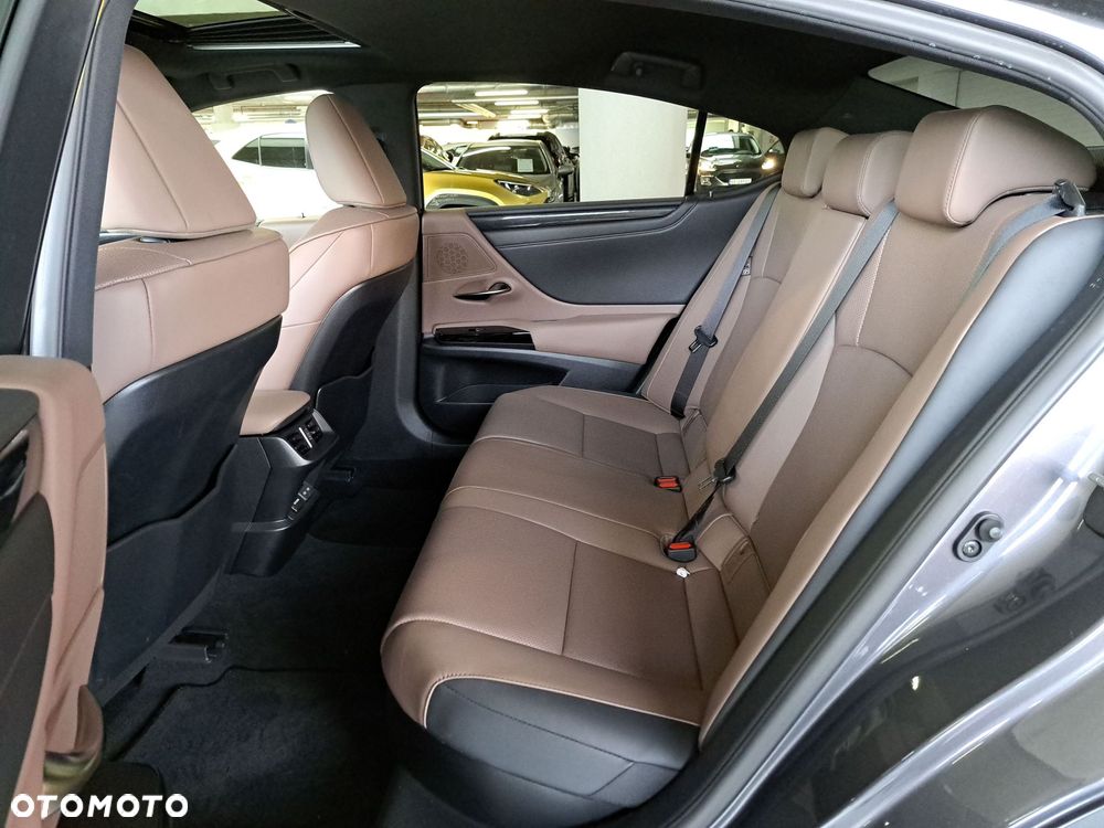 Lexus ES 300h Business Edition - 13