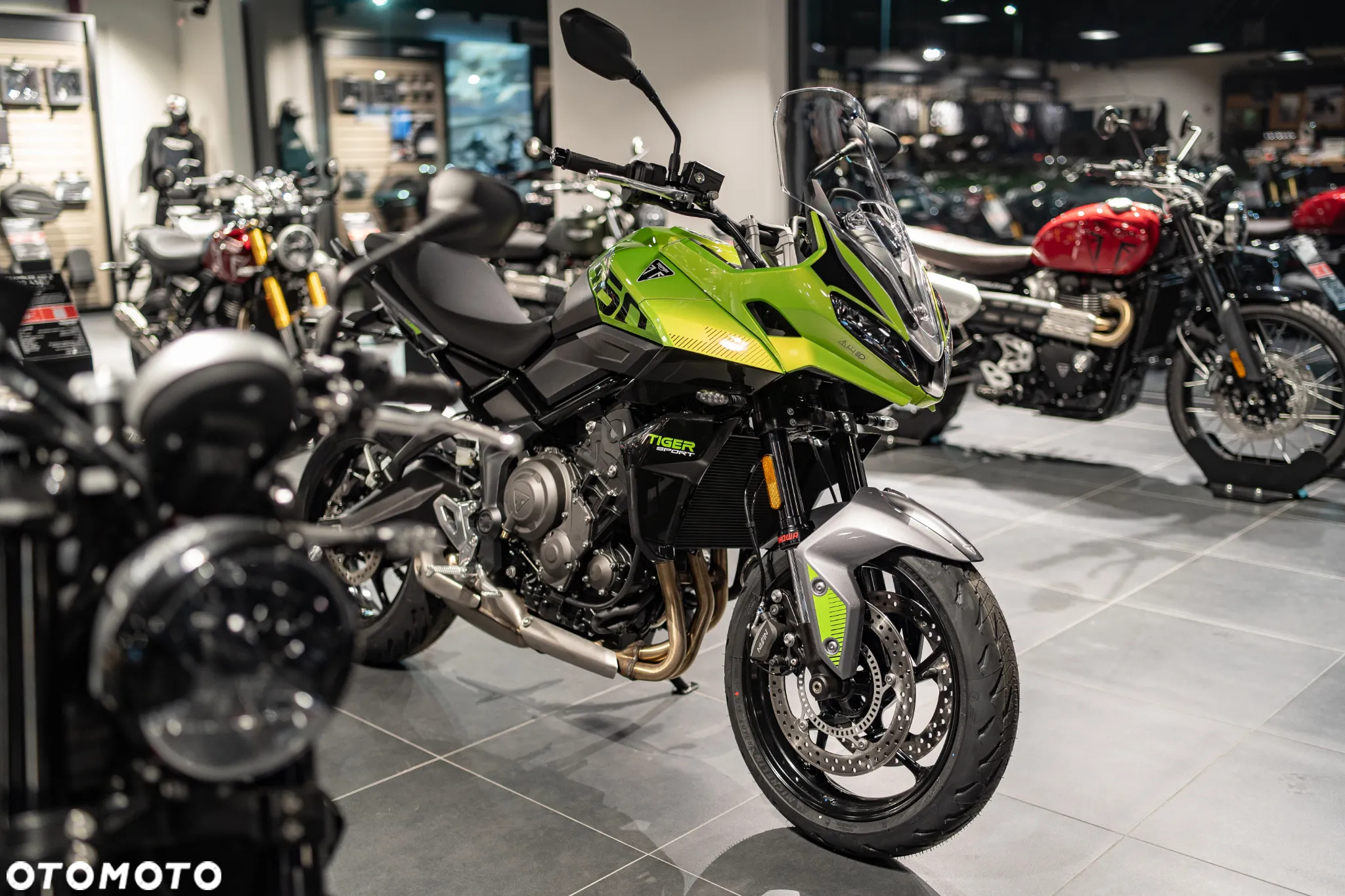 Triumph Tiger - 2