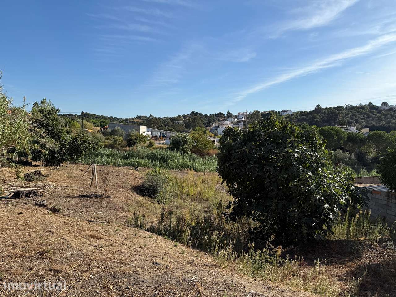 Moradia para Restaurar T2 Venda em Chamusca e Pinheiro Grande,Chamusca - Grande imagem: 4/17