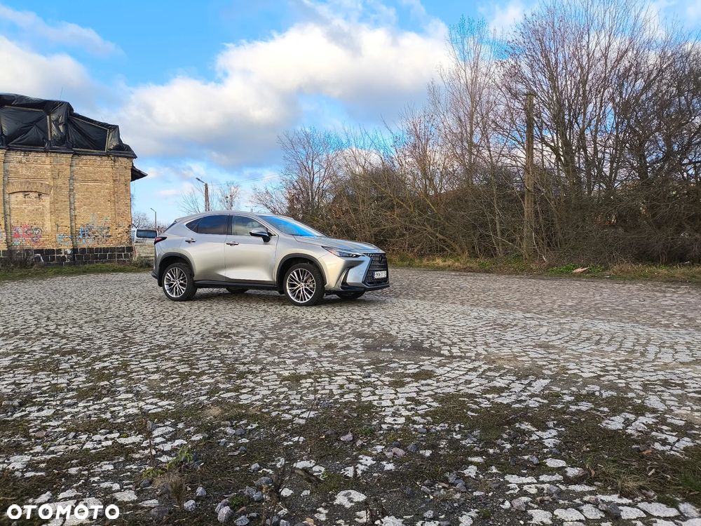 Lexus NX - 22