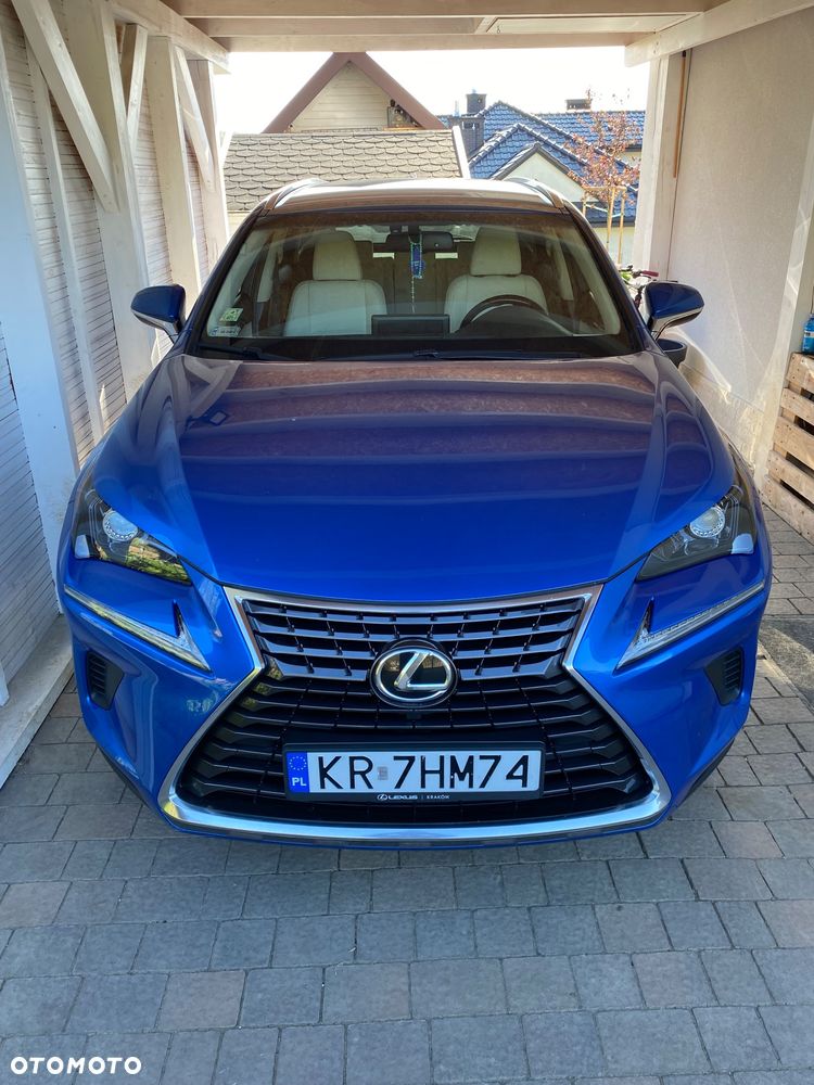 Lexus NX 300 Business Edition AWD - 2