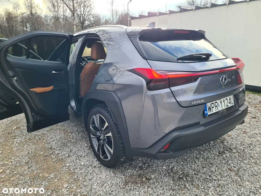 Lexus UX - 8