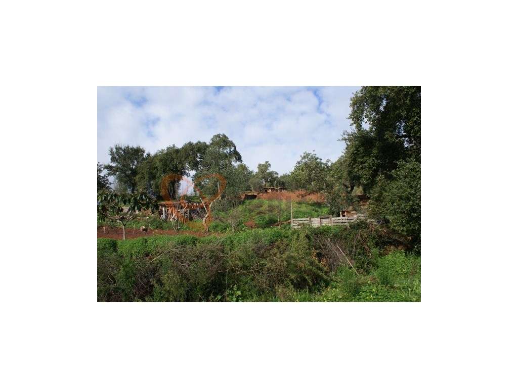 Terreno para venda com viabilidade de construção, Algarve. - Grande imagem: 2/7