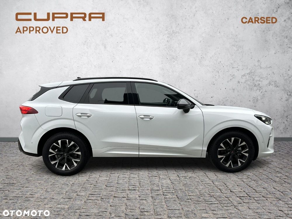 Cupra Terramar - 4