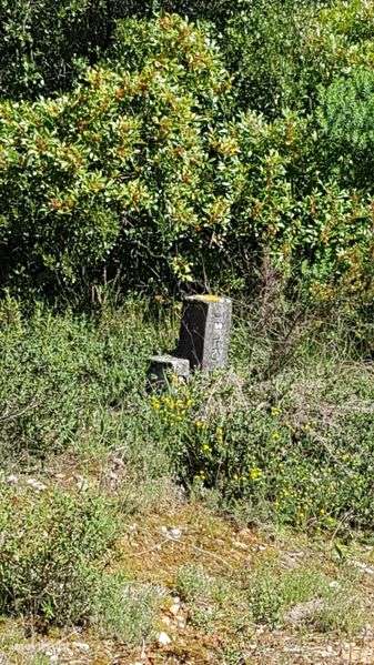 Cartaxo-Arrendo terreno - Grande imagem: 2/5