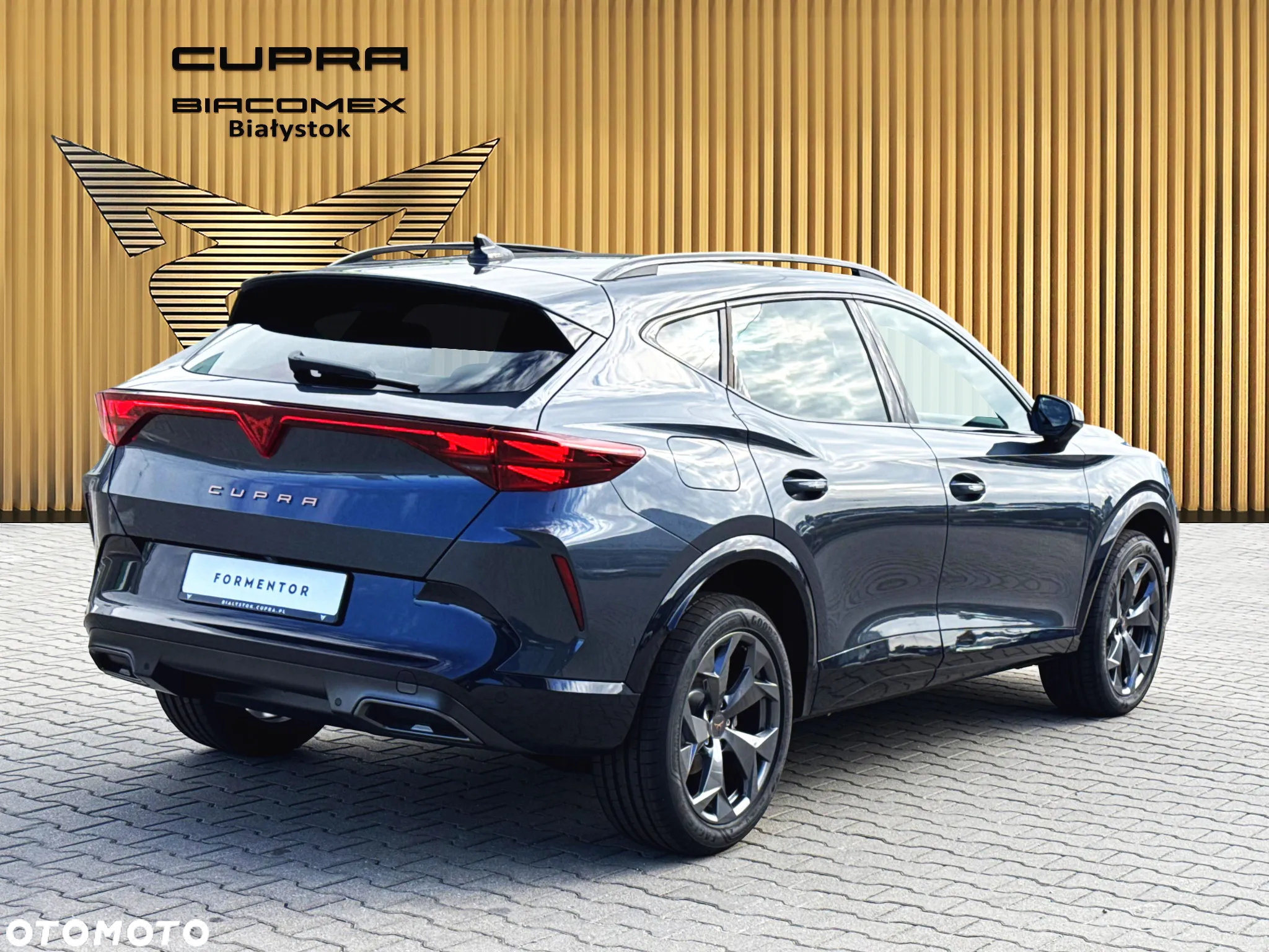 Cupra Formentor 2.0 TSI 4Drive DSG - 6