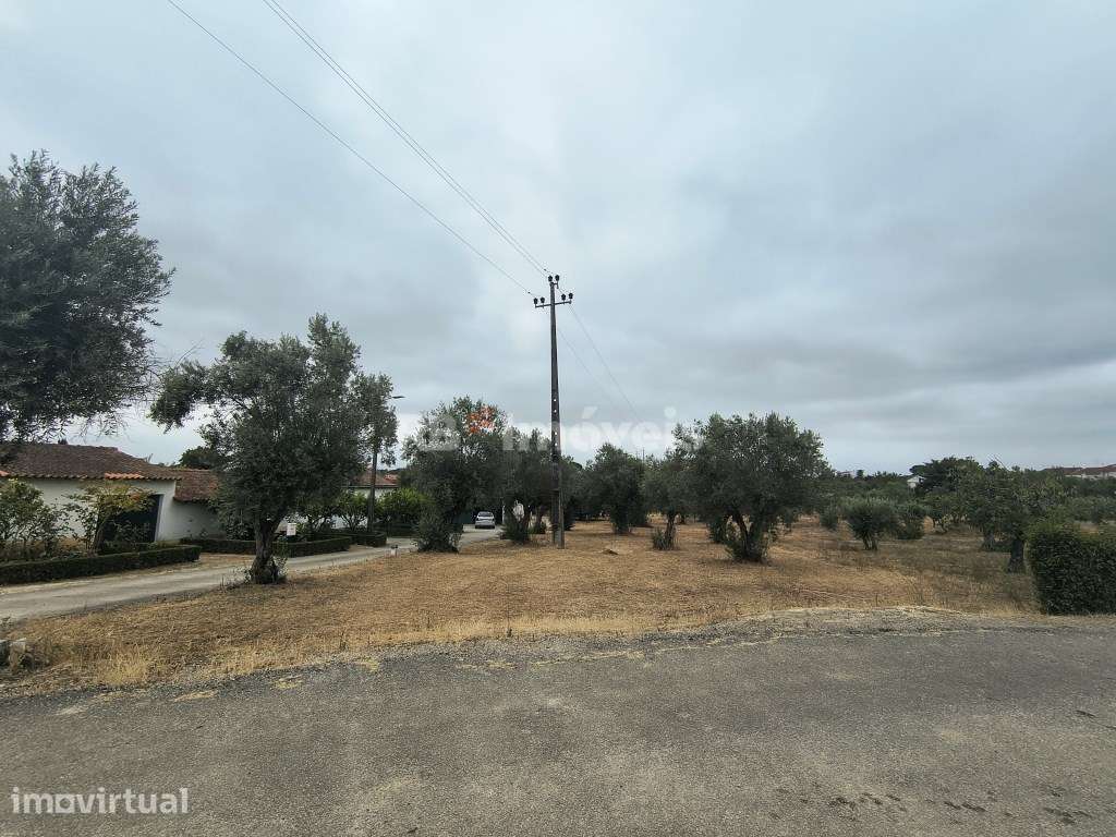 Terreno urbanizável com 960m2 - Delongo, Tomar - Grande imagem: 5/18