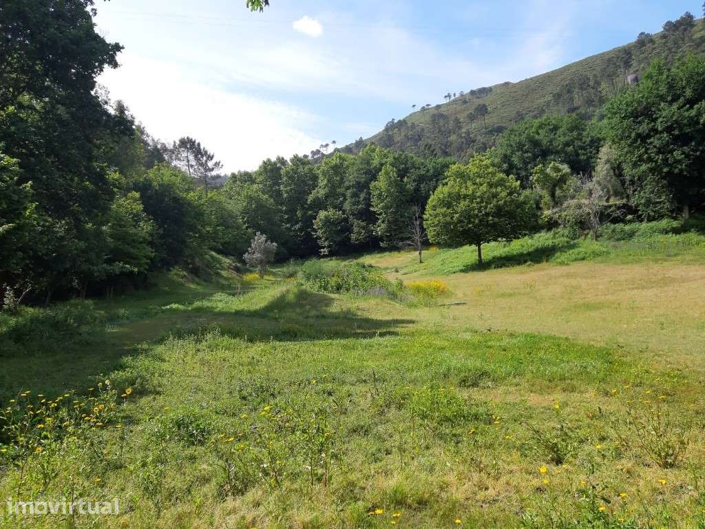 Terreno Agrícola - Valdosende - Grande imagem: 5/8