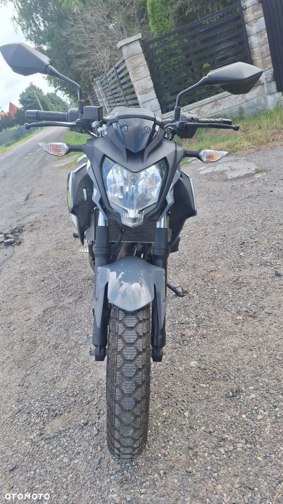 Kawasaki Z - 19