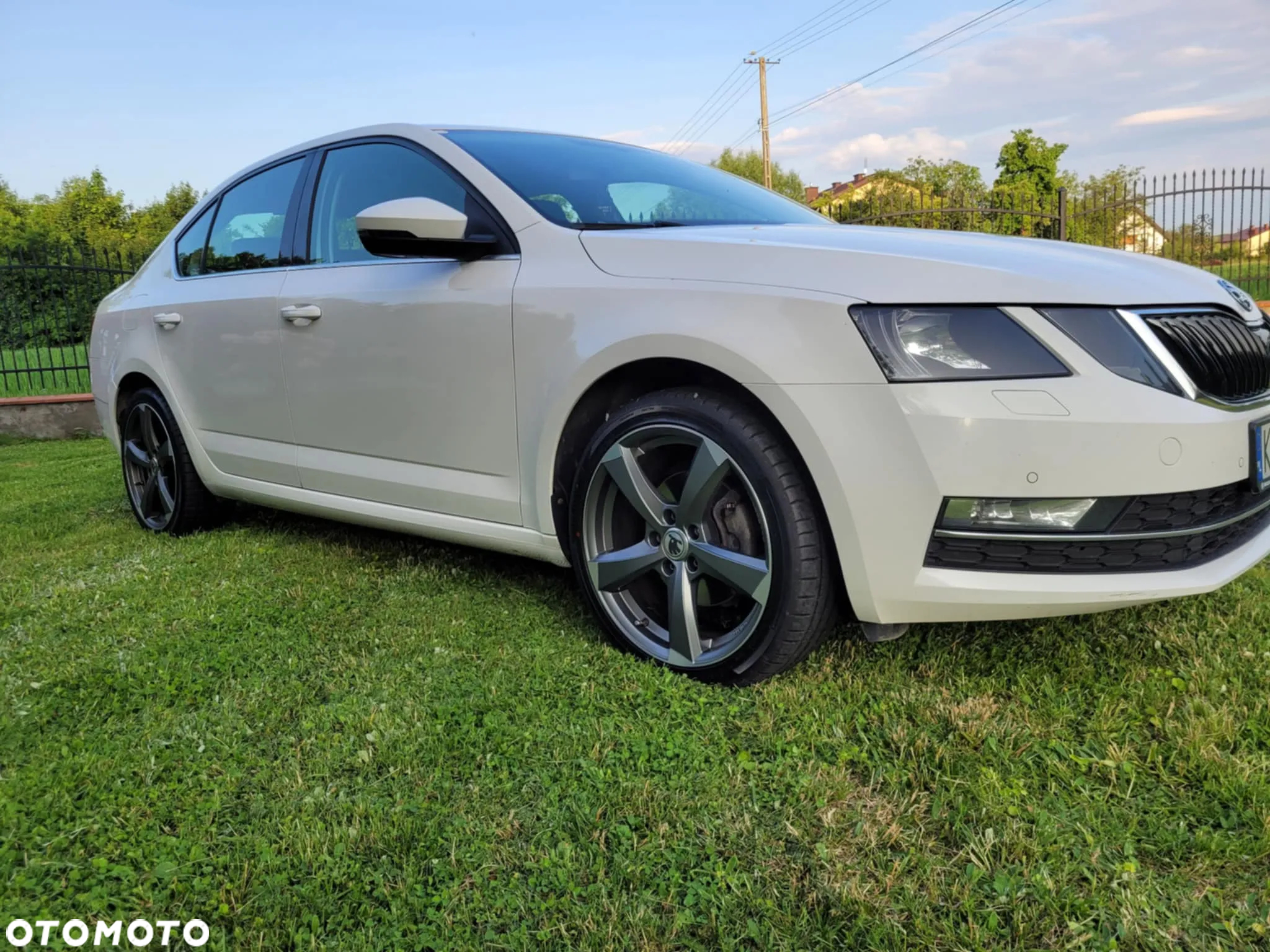 Skoda Octavia - 5