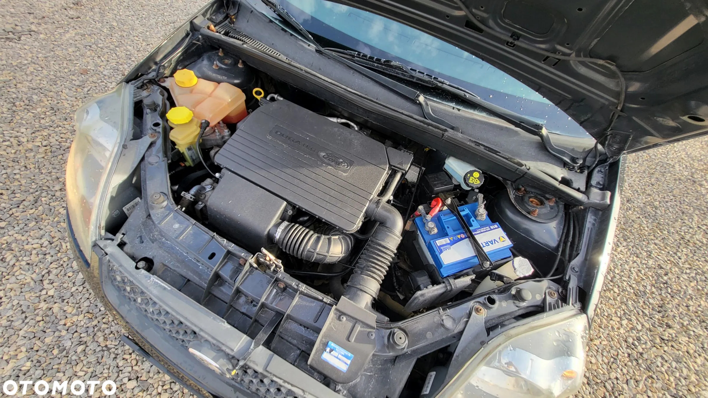 Ford Fiesta 1.3 Black Magic - 27
