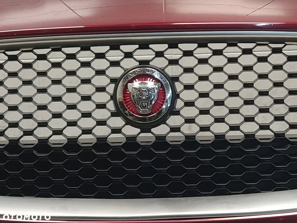 JAGUAR XF X260 ZDERZAK PRZÓD PRZEDNI KOMPLETNY 4XPDC SPRYSKIWACZE GRILL ATRAPA CHŁODNICY ZNACZEK WIĄZKA ORYGINAŁ - 5