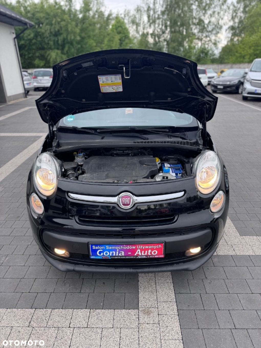 Fiat 500L - 18