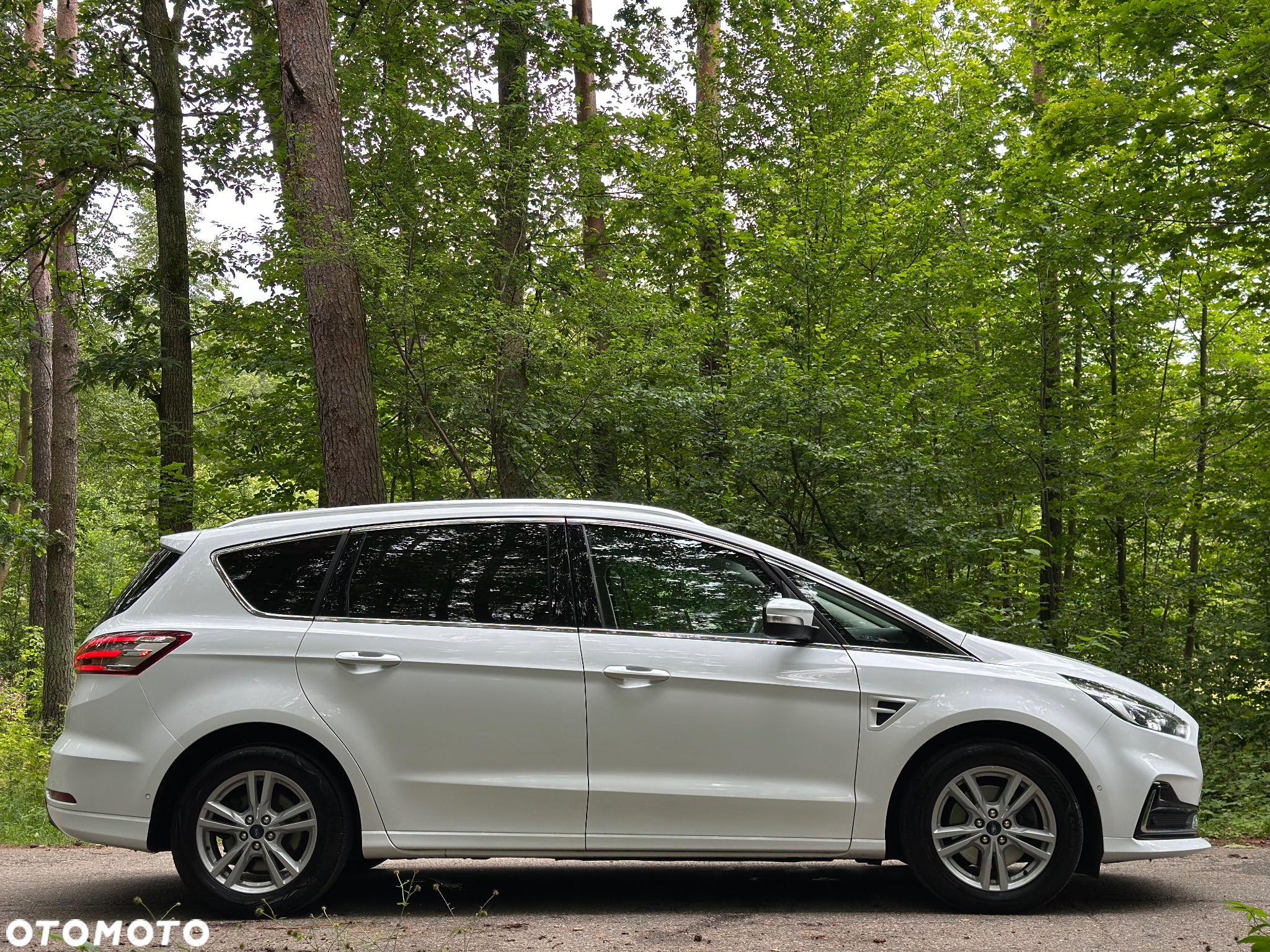 Ford S-Max 2.0 EcoBlue TITANIUM - 12