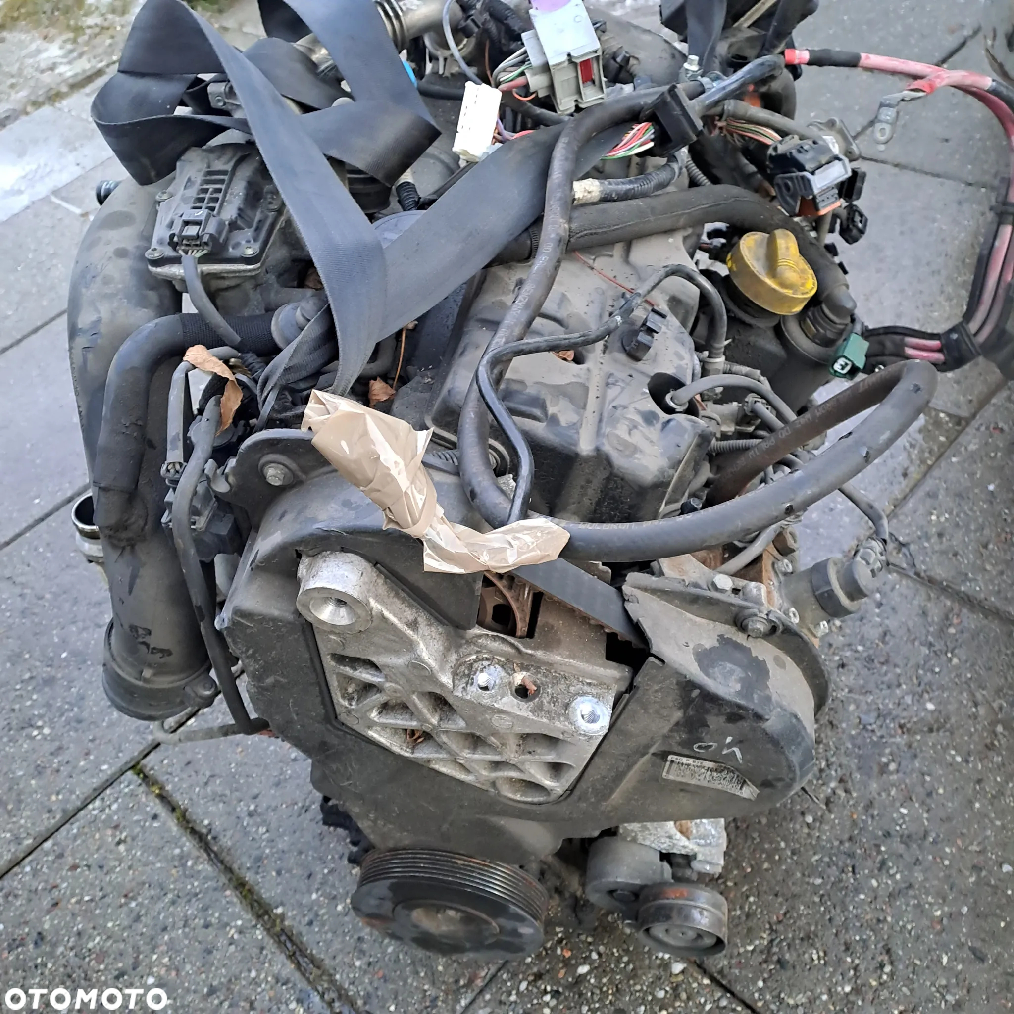 Renault Scenic III 1.9 DCi 131KM silnik kompletny kod F9Q872 F9Q870 niski przebieg - 3