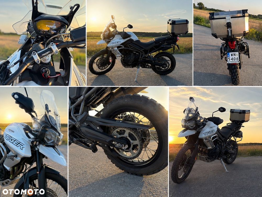 Triumph Tiger - 6