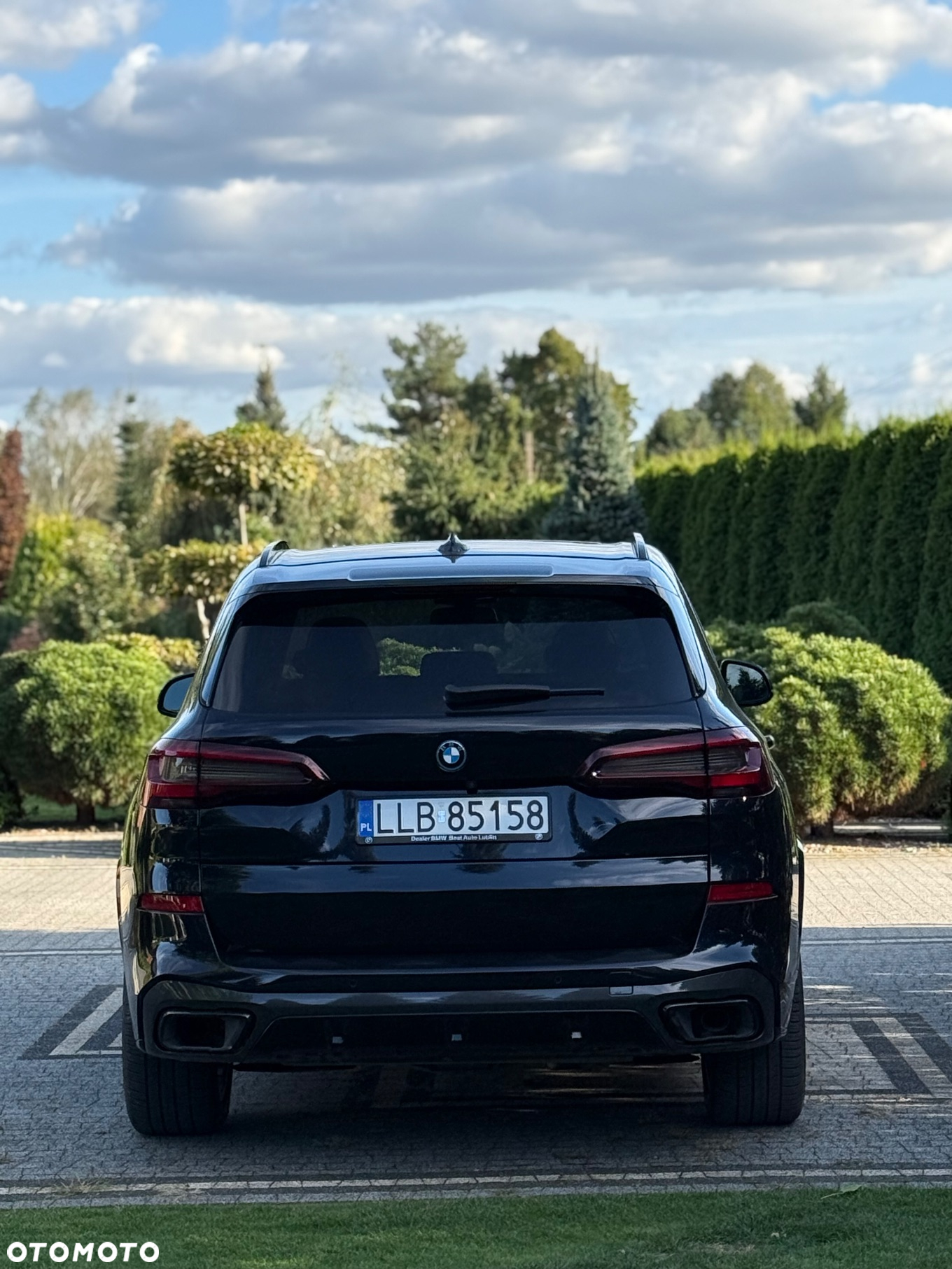 BMW X5 xDrive45e - 6