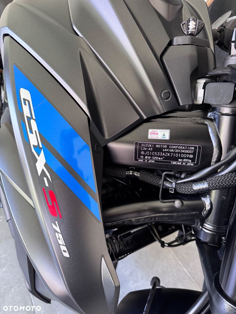 Suzuki GSX - 13