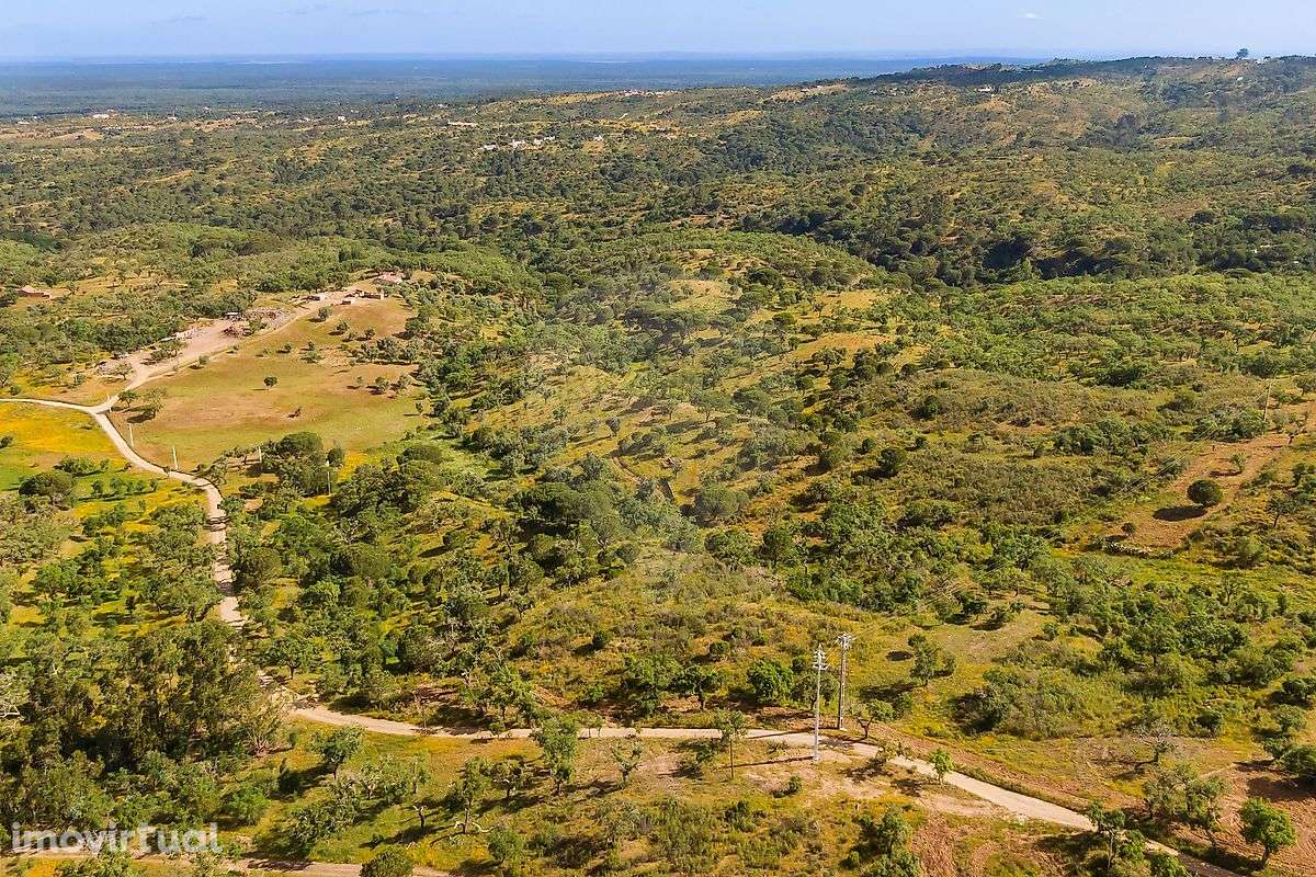 Terreno  para venda - Grande imagem: 4/14