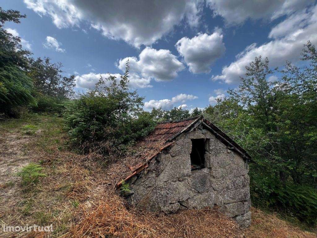 Quinta em Amarante (Gondar) com casa para Restauro - Grande imagem: 2/20