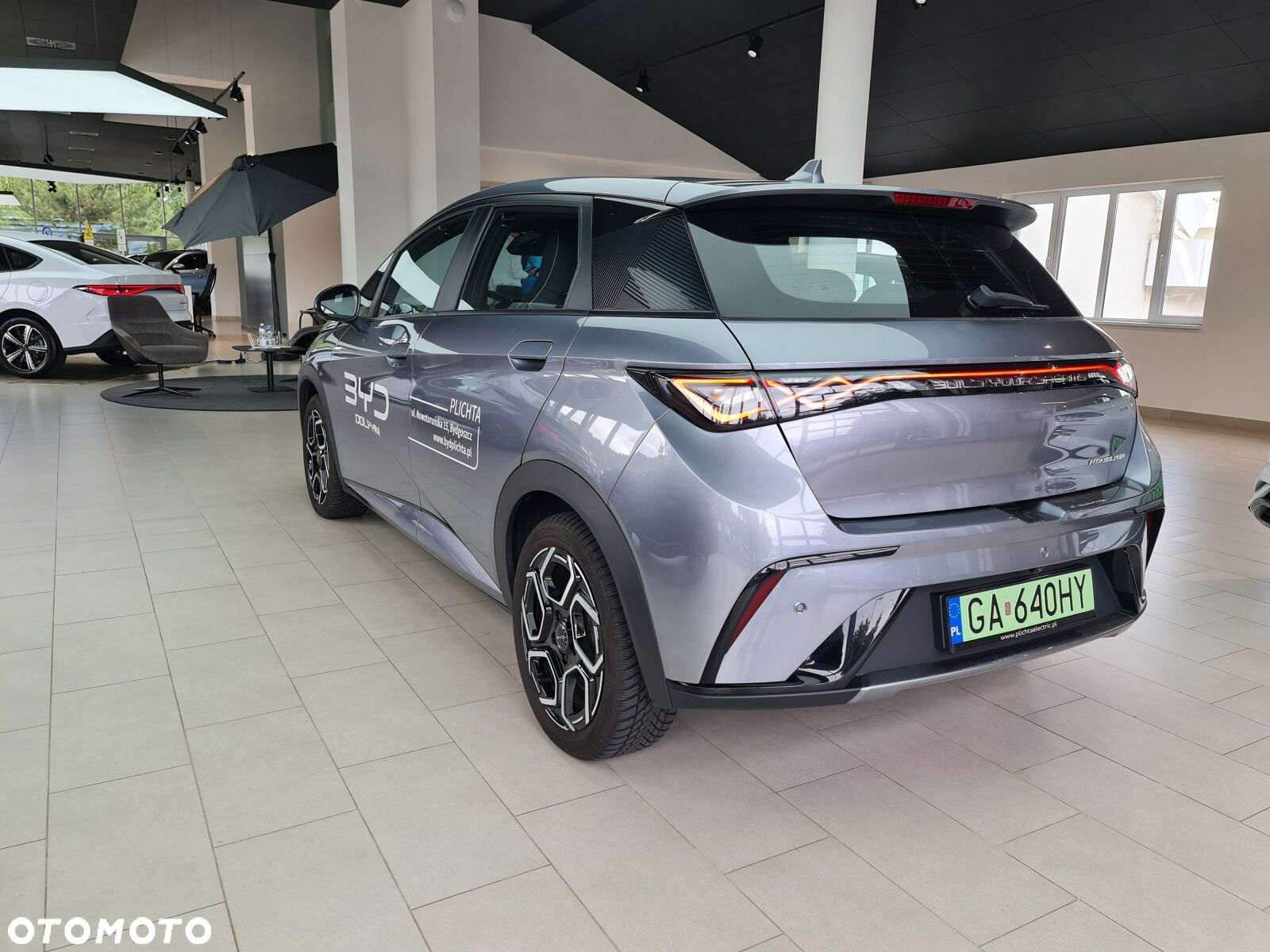 BYD Dolphin - 7