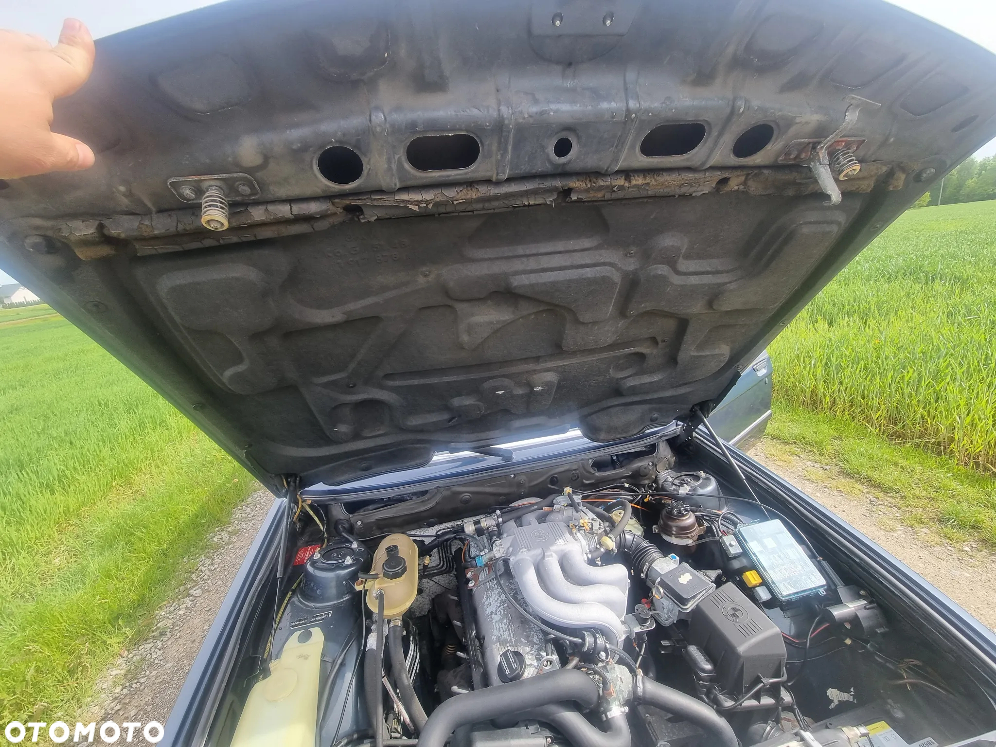 BMW Seria 5 - 32