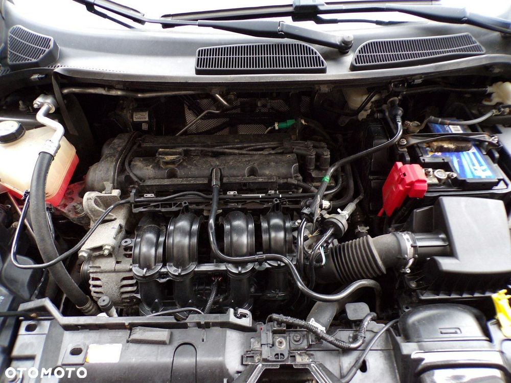 Ford Fiesta - 17