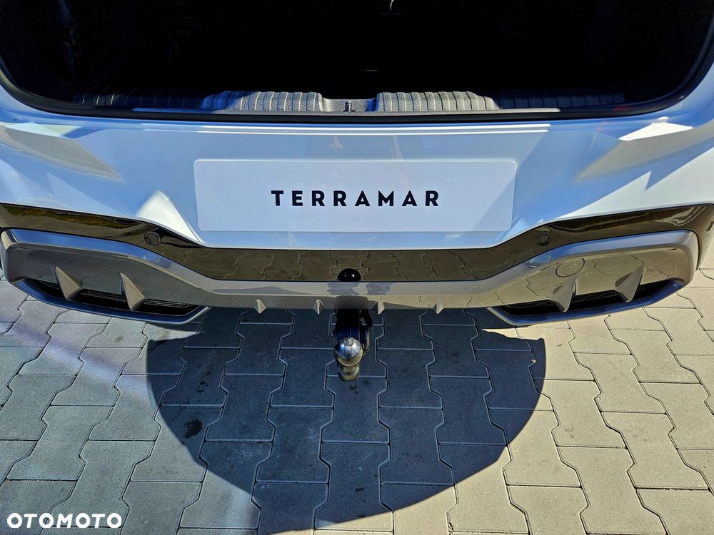 Cupra Terramar - 6