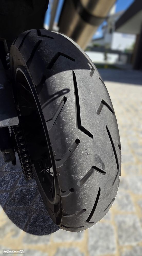 Triumph Tiger Rally Pro - 8