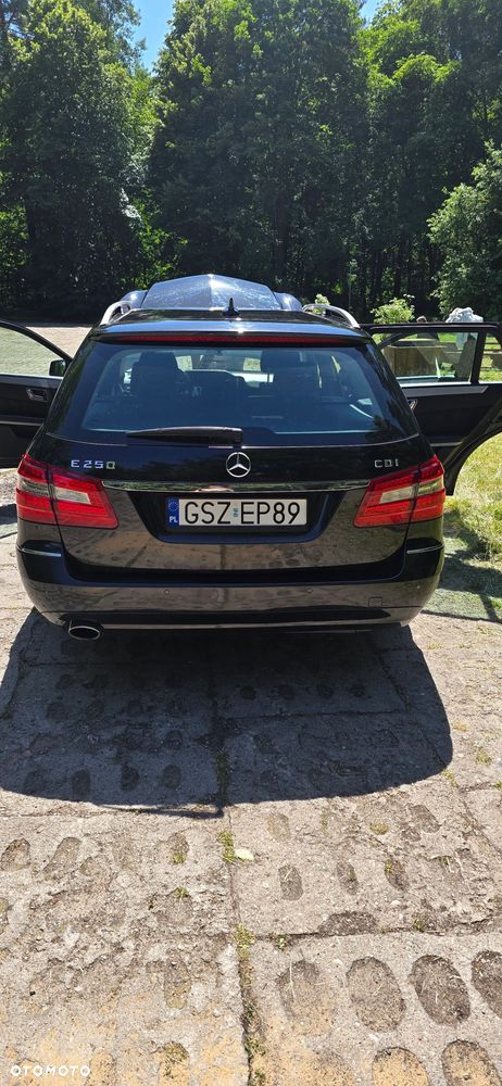 Mercedes-Benz Klasa E 250 CDI DPF BlueEFFICIENCY Automatik Avantgarde - 39
