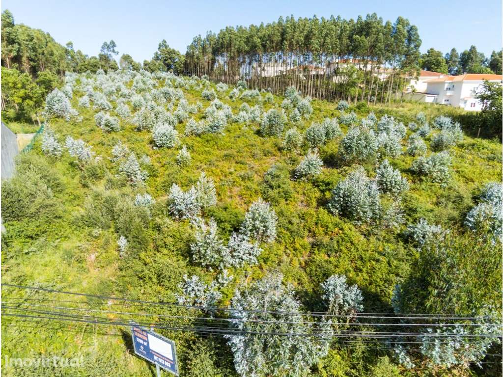 Terreno com área de 7706m2, para construção de 14 moradias em Nogue... - Grande imagem: 5/15