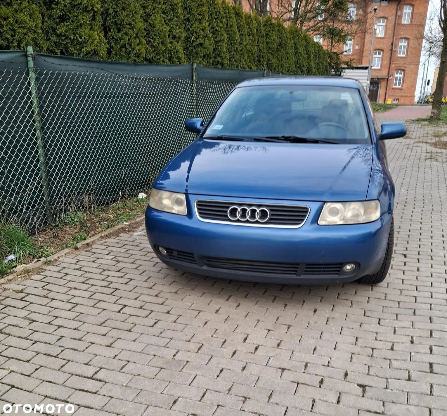 Audi A3 1.9 TDI Ambiente - 6