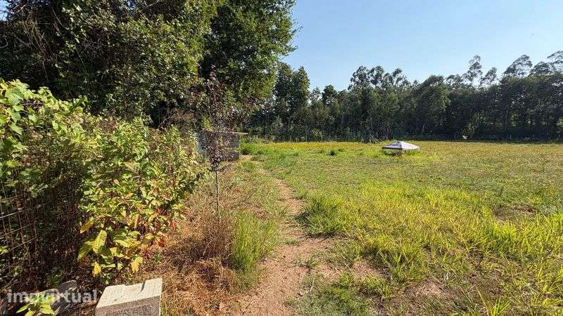 Terreno Rustico em Sandiães - Grande imagem: 4/12