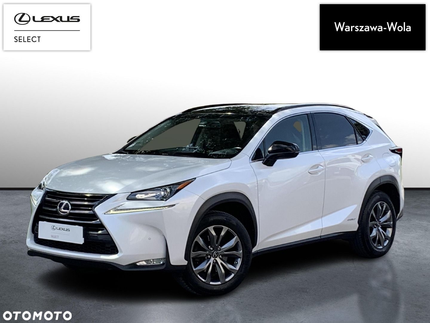 Lexus NX - 1