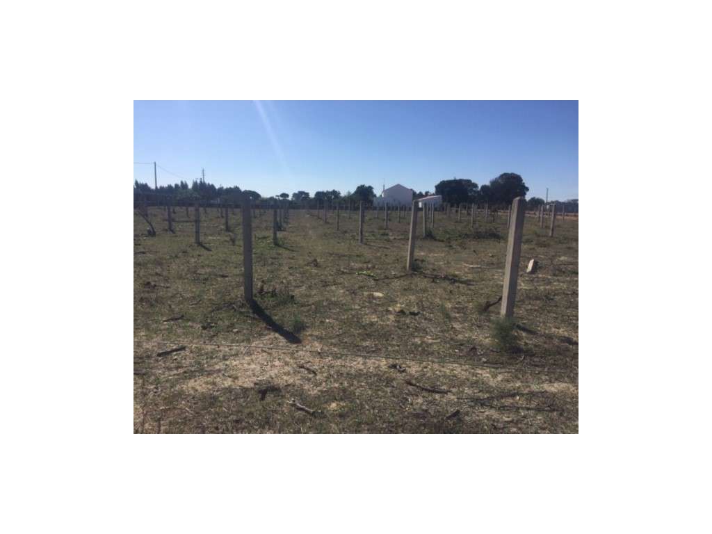 Terreno com 12.250m2 , c/ 1 Habitação e Moradia 2 Pisos c/ 210,00m2... - Grande imagem: 2/13