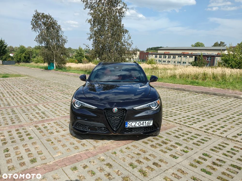Alfa Romeo Stelvio 2.0 Turbo 16V AT8-Q4 Veloce - 7