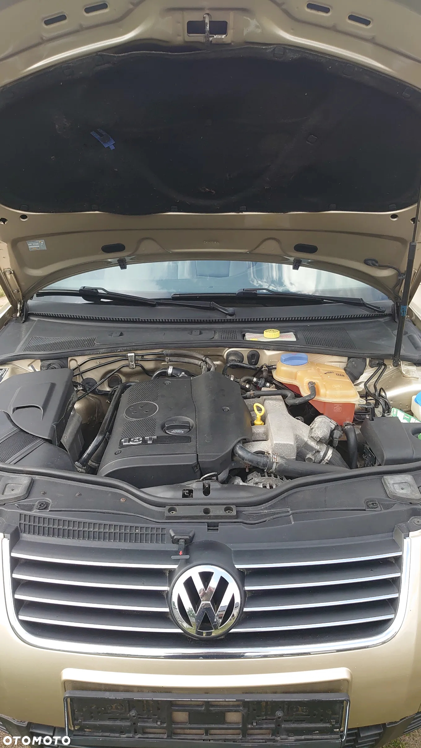 Volkswagen Passat 1.8T - 19