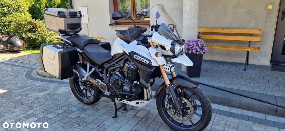 Triumph Tiger - 1