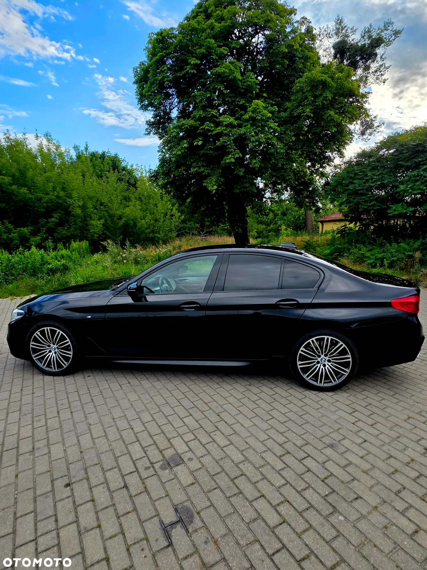 BMW Seria 5 530d xDrive M Sport sport - 10