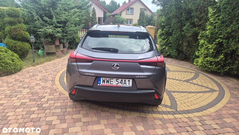 Lexus UX 250h Business Edition - 5