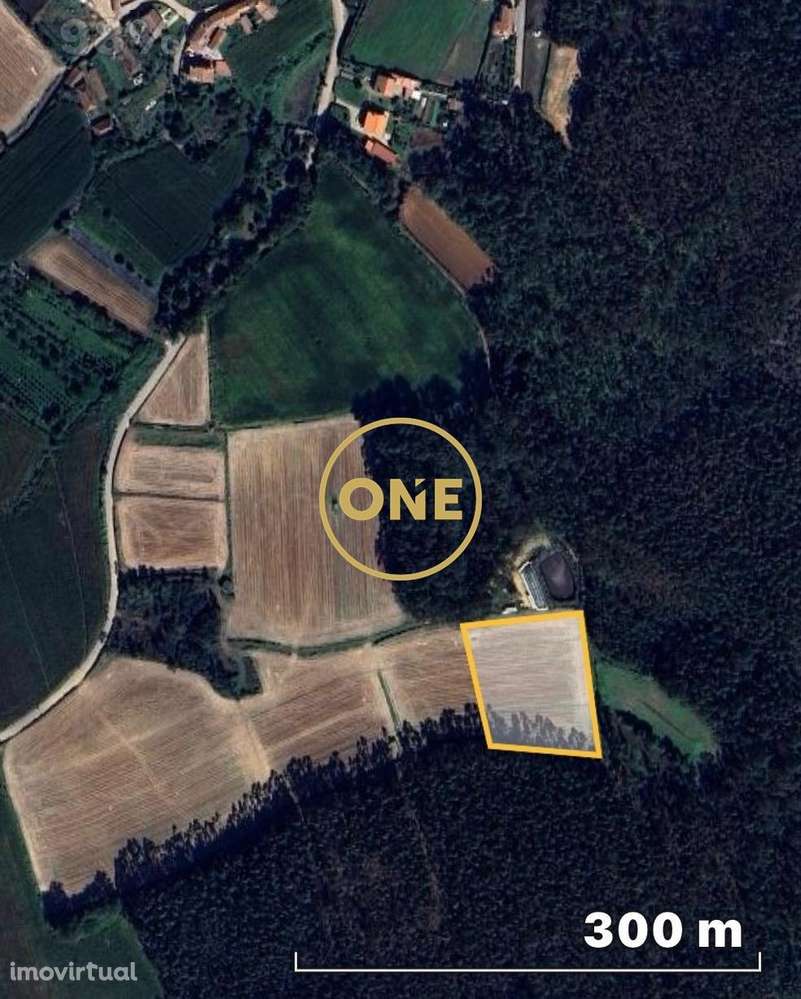 Terreno Agrícola em Laundos - Grande imagem: 3/3