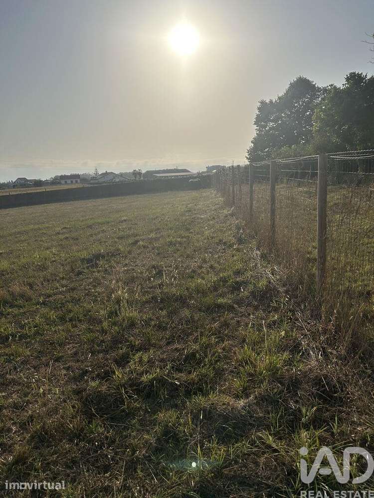 Terreno misto em Válega - Grande imagem: 3/6