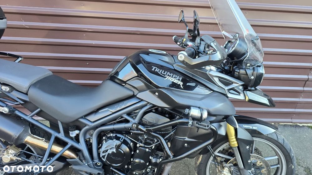 Triumph Tiger - 10