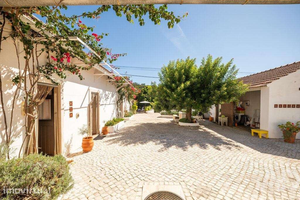 Propriedade em Areias e Pias de 434 m2 - Grande imagem: 2/40