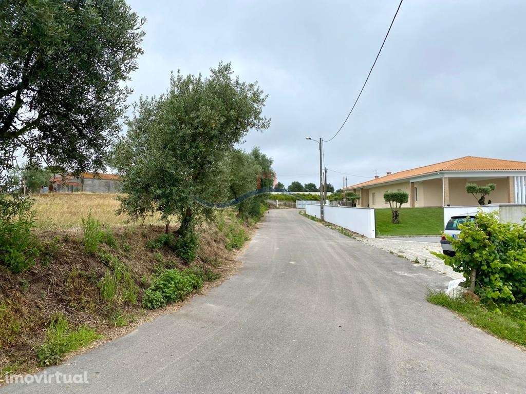 Terreno - Chã da Laranjeira, Souto da Carpalhosa - Grande imagem: 4/15